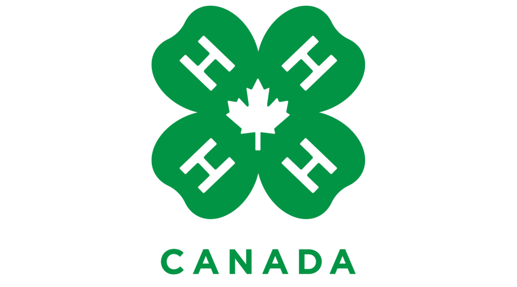 4H
